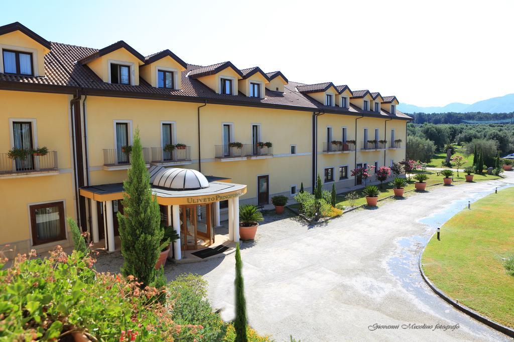 Uliveto Principessa Park Hotel Taurianova Экстерьер фото